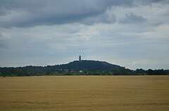 449: DSC_0601