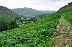 463: DSC_0617