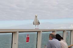 475: DSC_0630