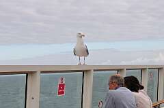 476: DSC_0631