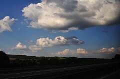 480: DSC_0635