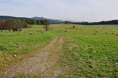 15: DSC_0076