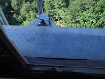 4: IMG_0004