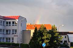 44: DSC_0077