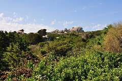 132: DSC_0227