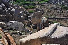 141: DSC_0246