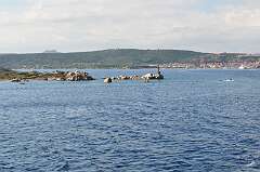 165: DSC_0279
