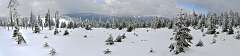 10: DSC_0302-306