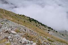 21: DSC_0045