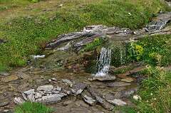 92: DSC_0172