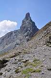 133: DSC_0296