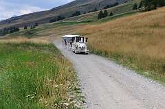 146: DSC_0349