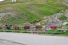 148: DSC_0352