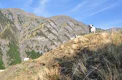 156: DSC_0365