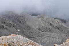 178: DSC_0473
