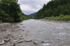 207: DSC_0583