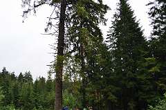 27: DSC_0059