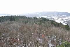 14: DSC_0150