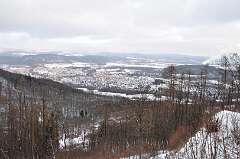 42: DSC_0208