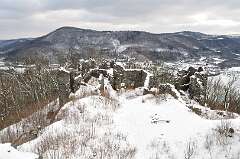 53: DSC_0239