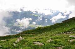2016_08_1-7-Wallis