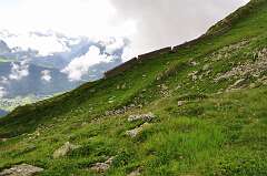 2: DSC_0002