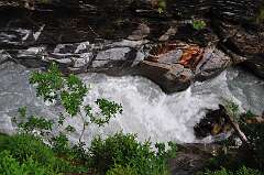 101: DSC_0252