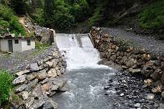 106: DSC_0264