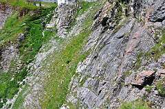 129: DSC_0333
