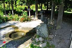 98: DSC_0529