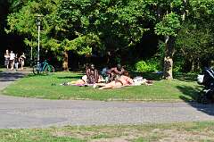 100: DSC_0531