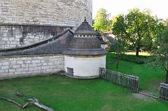 156: DSC_0592