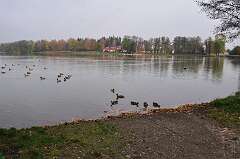 2: DSC_0705