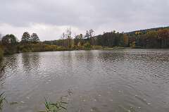 13: DSC_0716
