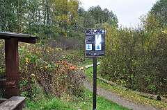 14: DSC_0717