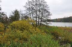 20: DSC_0723