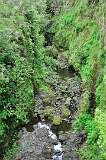 72: DSC_0147