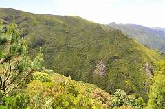 73: DSC_0148