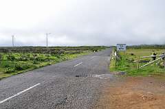 91: DSC_0191