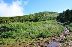 96: DSC_0196