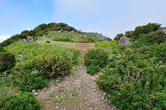 104: DSC_0216