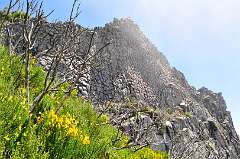 140: DSC_0282