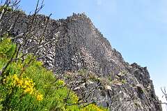 141: DSC_0283