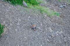 180: DSC_0359