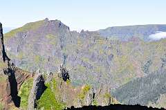182: DSC_0361