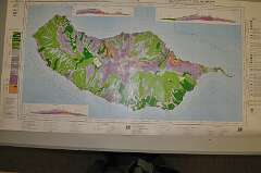 203: DSC_0396