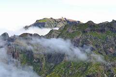222: DSC_0420