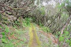 229: DSC_0428