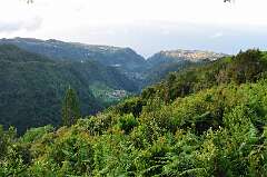 233: DSC_0434