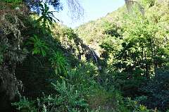 243: DSC_0447